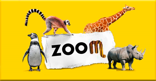 Ingresso serale gratuito al Bioparco Zoom per i cittadini residenti. Proroga fino al 3 ottobre.